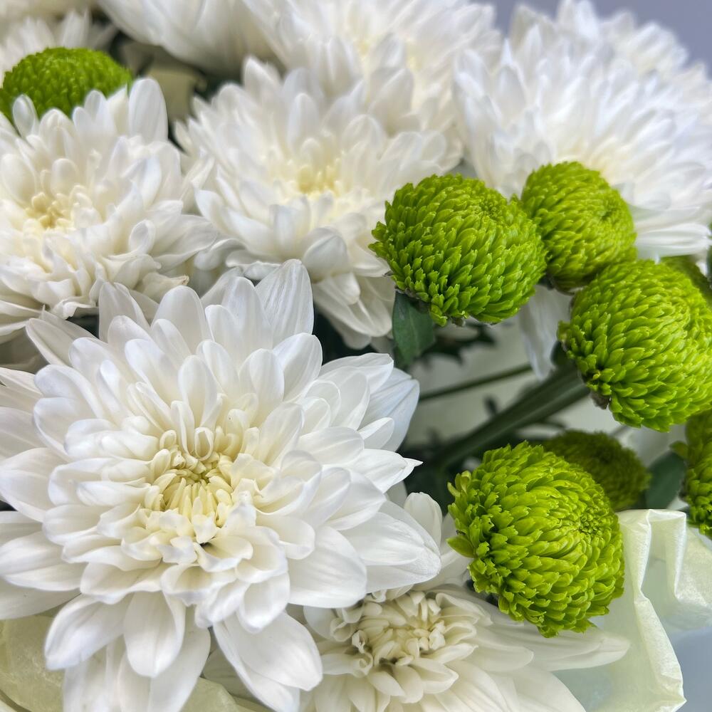Эксклюзивный букет «Филин Грин» – сочетание белых и зеленых хризантем Нефтегорск Челябинская область