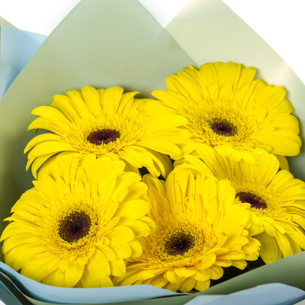 Яркий букет из 5 жёлтых гербер – как кусочек солнца в ваших руках Нефтегорск Челябинская область