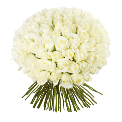 Роскошный букет из 101 белой розы – воплощение бесконечной любви Нефтегорск Челябинская область