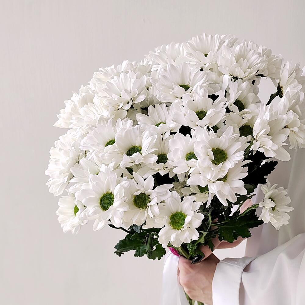 Букет «Ромашка» – 9 белоснежных хризантем в деревенском стиле Нефтегорск Челябинская область