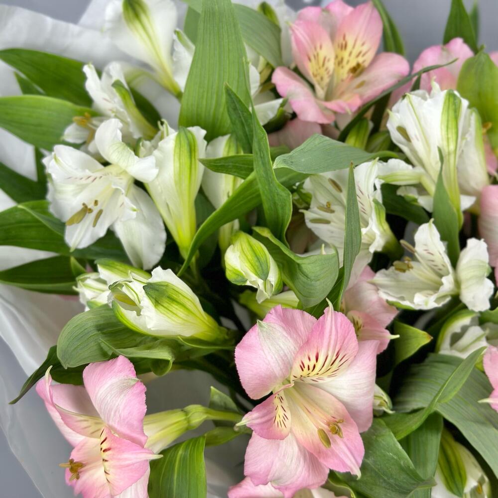 Букет «Нежность» – трогательное сочетание белых и розовых альстромерий Нефтегорск Челябинская область