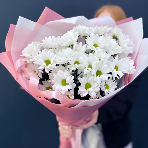 Букет «Розовое счастье» – нежность белых хризантем Нефтегорск Челябинская область