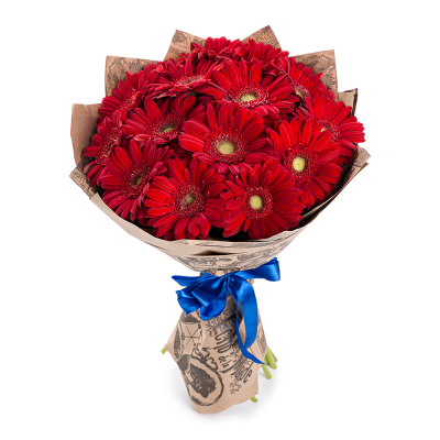 Яркий букет из 15 красных гербер – воплощение страсти и жизнерадостности Нефтегорск Челябинская область
