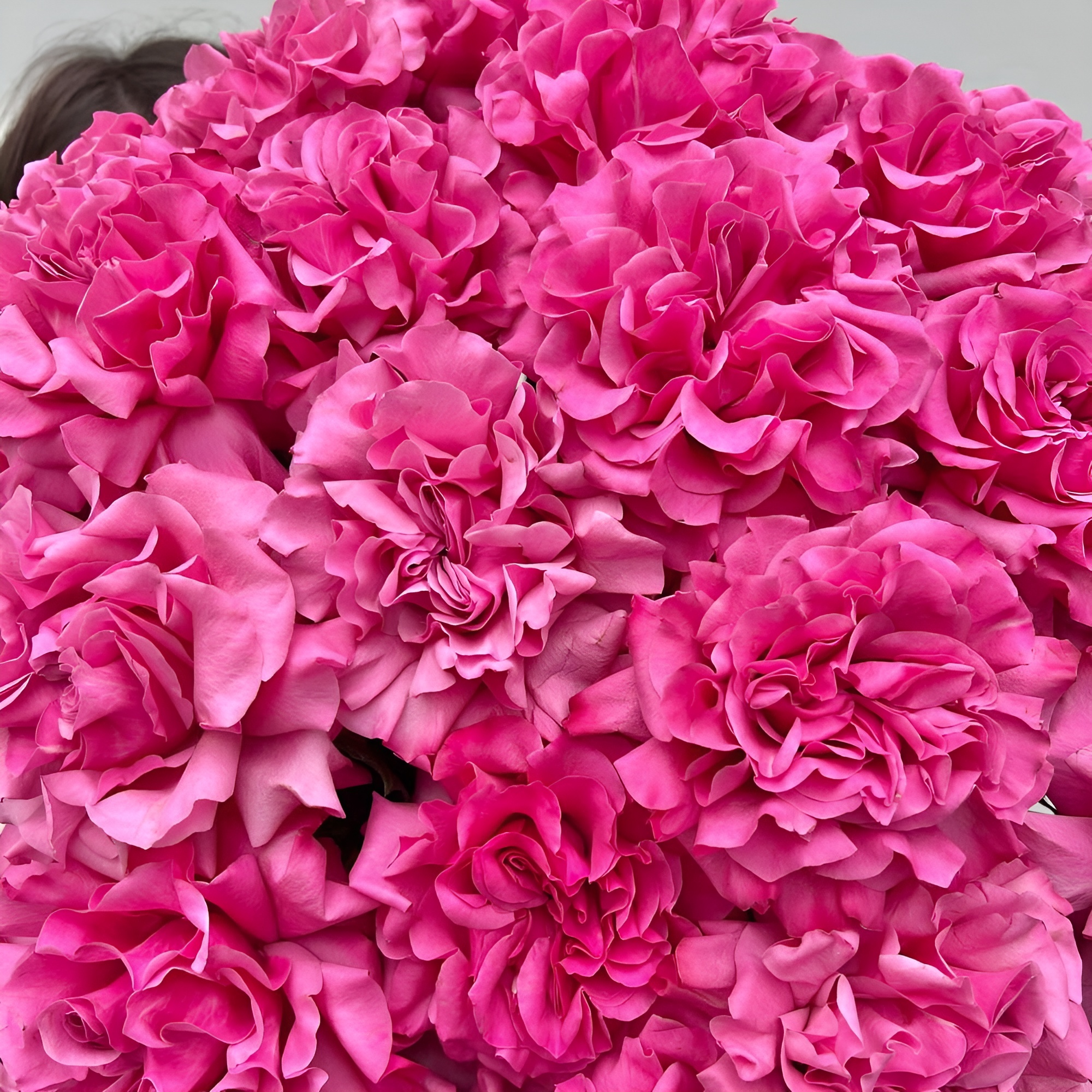 Роскошный букет из пионовидных роз – королевский подарок Нефтегорск Челябинская область