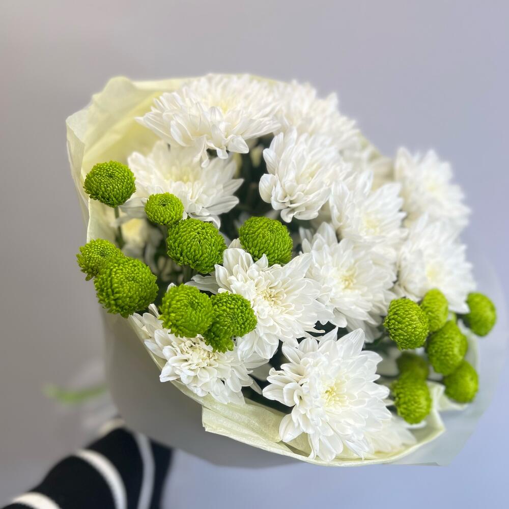 Эксклюзивный букет «Филин Грин» – сочетание белых и зеленых хризантем Нефтегорск Челябинская область