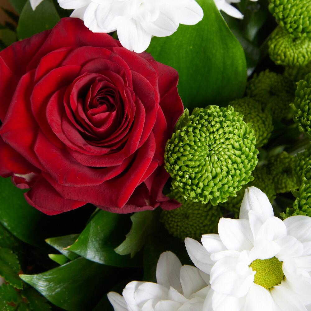 Букет «Настроение» – гармония красных эквадорских роз и нежных хризантем Нефтегорск Челябинская область