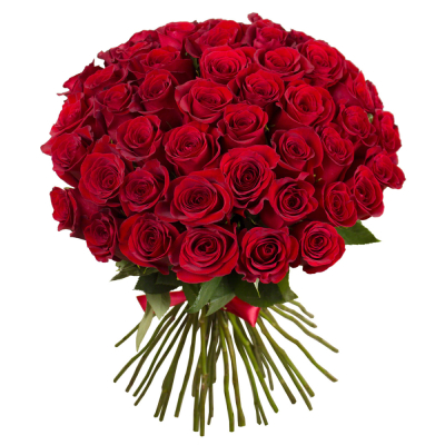 Букет «О, Шарман!» – 51 роскошная эквадорская роза Нефтегорск Челябинская область