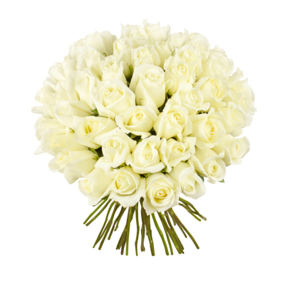 Роскошный букет из 51 белой розы – символ безграничной преданности Нефтегорск Челябинская область