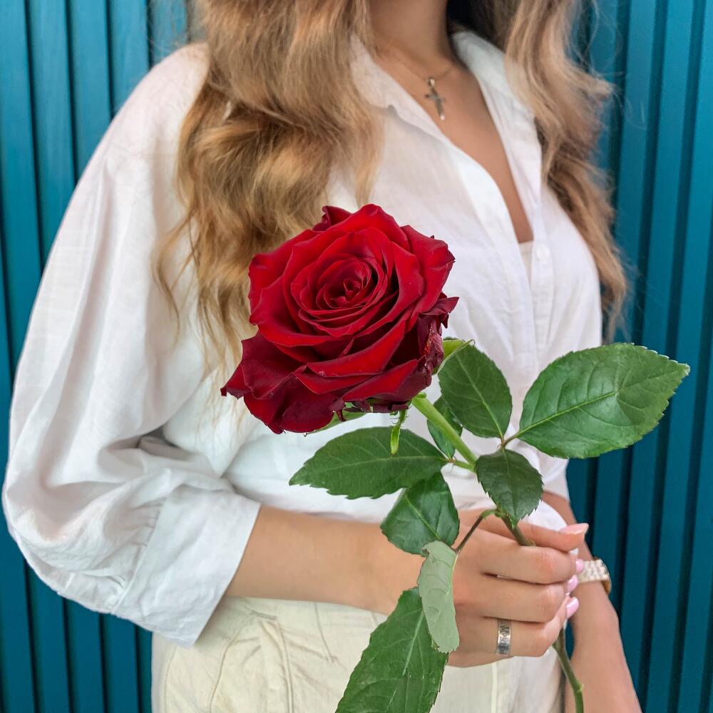 Комплимент из красной эквадорской розы – минимализм роскоши Нефтегорск Челябинская область