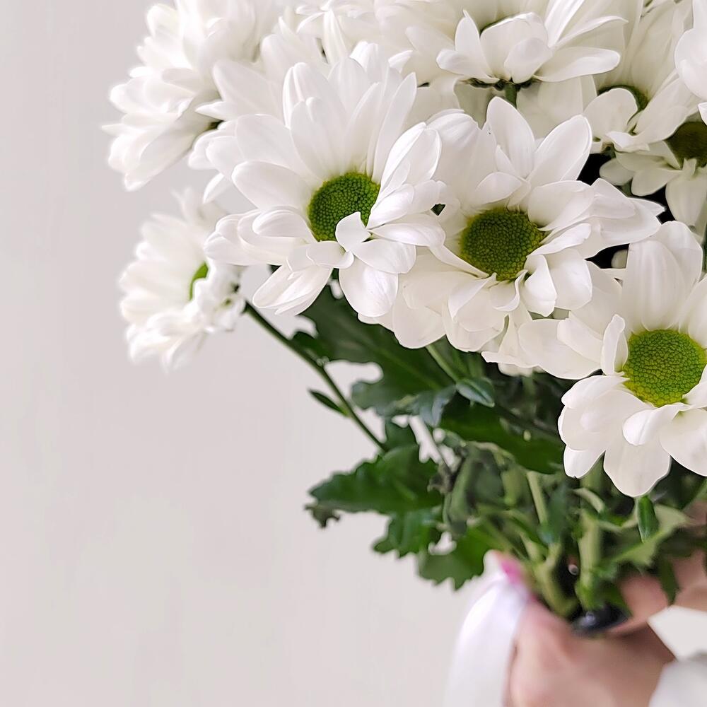 Букет «Ромашка» – 9 белоснежных хризантем в деревенском стиле Нефтегорск Челябинская область