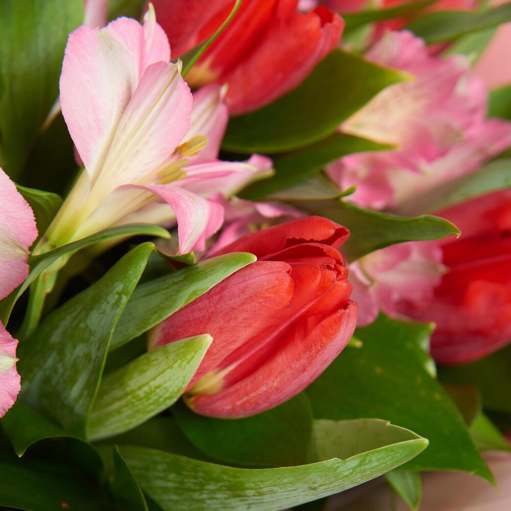 Букет «Первый поцелуй» красных тюльпанов и розовых альстромерий Нефтегорск Челябинская область