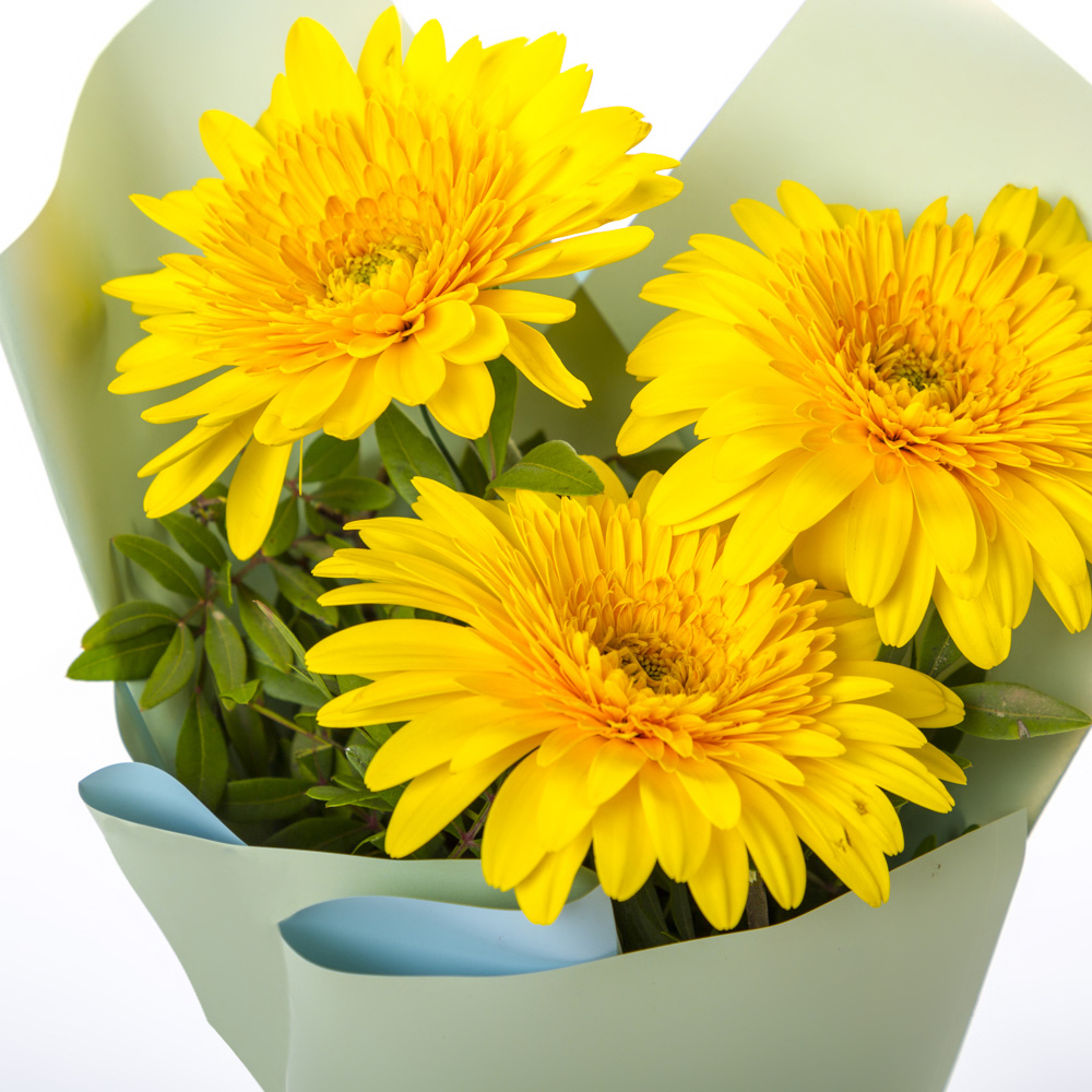 Яркий букет из 3 жёлтых гербер – частичка солнечного света Нефтегорск Челябинская область