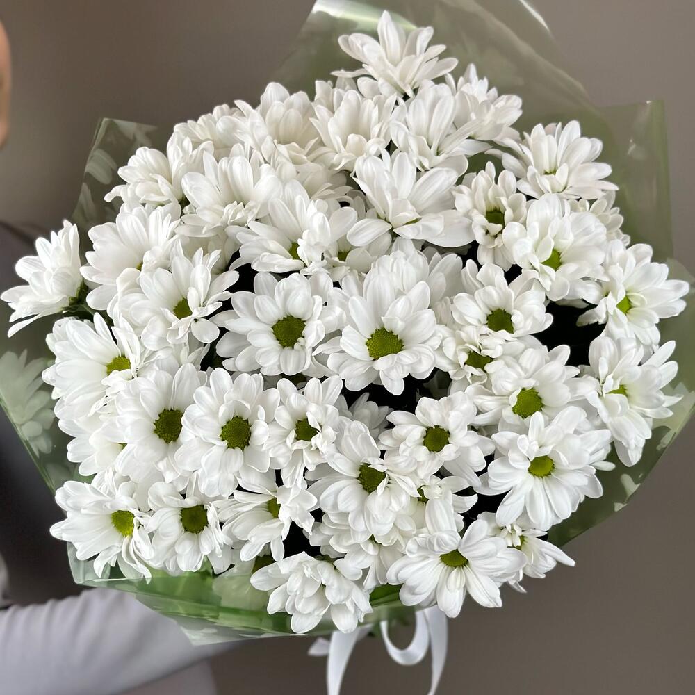 Букет «Мечты о лете» – свежесть белых хризантем Нефтегорск Челябинская область