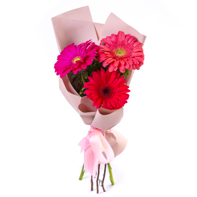 Яркий букет из 3 разноцветных гербер – маленькое чудо в ваших руках Нефтегорск Челябинская область