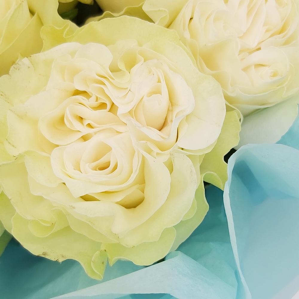 Букет «Кружевное облачко» – 11 белоснежных роз в нежной упаковке Нефтегорск Челябинская область