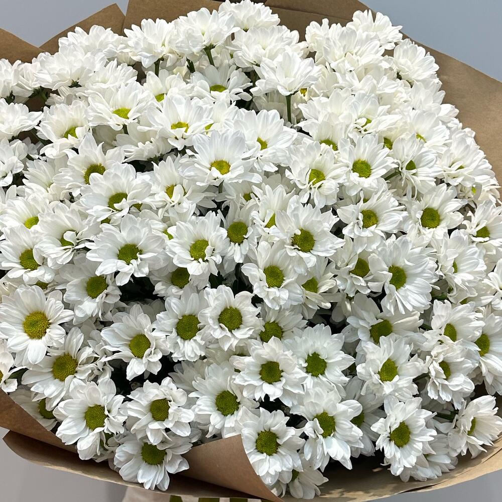Букет «21 ромашка» – нежные белые кустовые хризантемы в натуральном стиле Нефтегорск Челябинская область