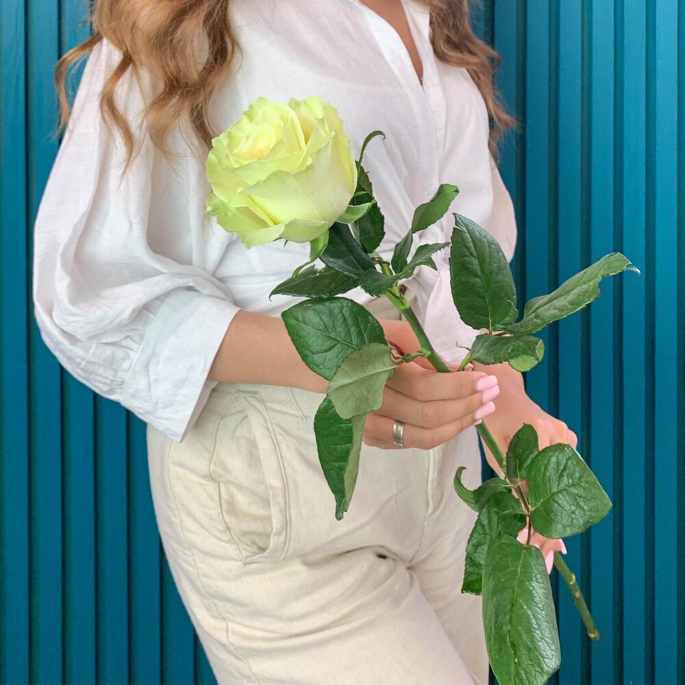 Комплимент из белой эквадорской розы – элегантность в каждом лепестке Нефтегорск Челябинская область