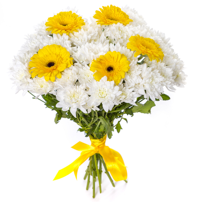 Солнечный букет из желтых гербер и белых хризантем – радость в каждом лепестке Нефтегорск Челябинская область