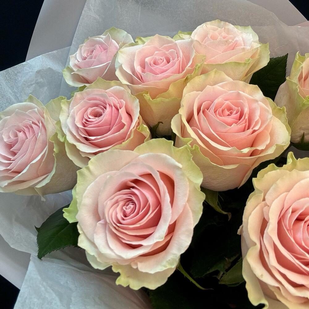 Букет из 9 розовых роз – нежность в каждом лепестке Нефтегорск Челябинская область