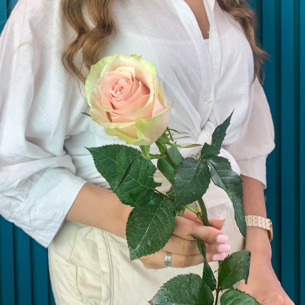 Комплимент из розовой эквадорской розы – минимализм роскоши Нефтегорск Челябинская область