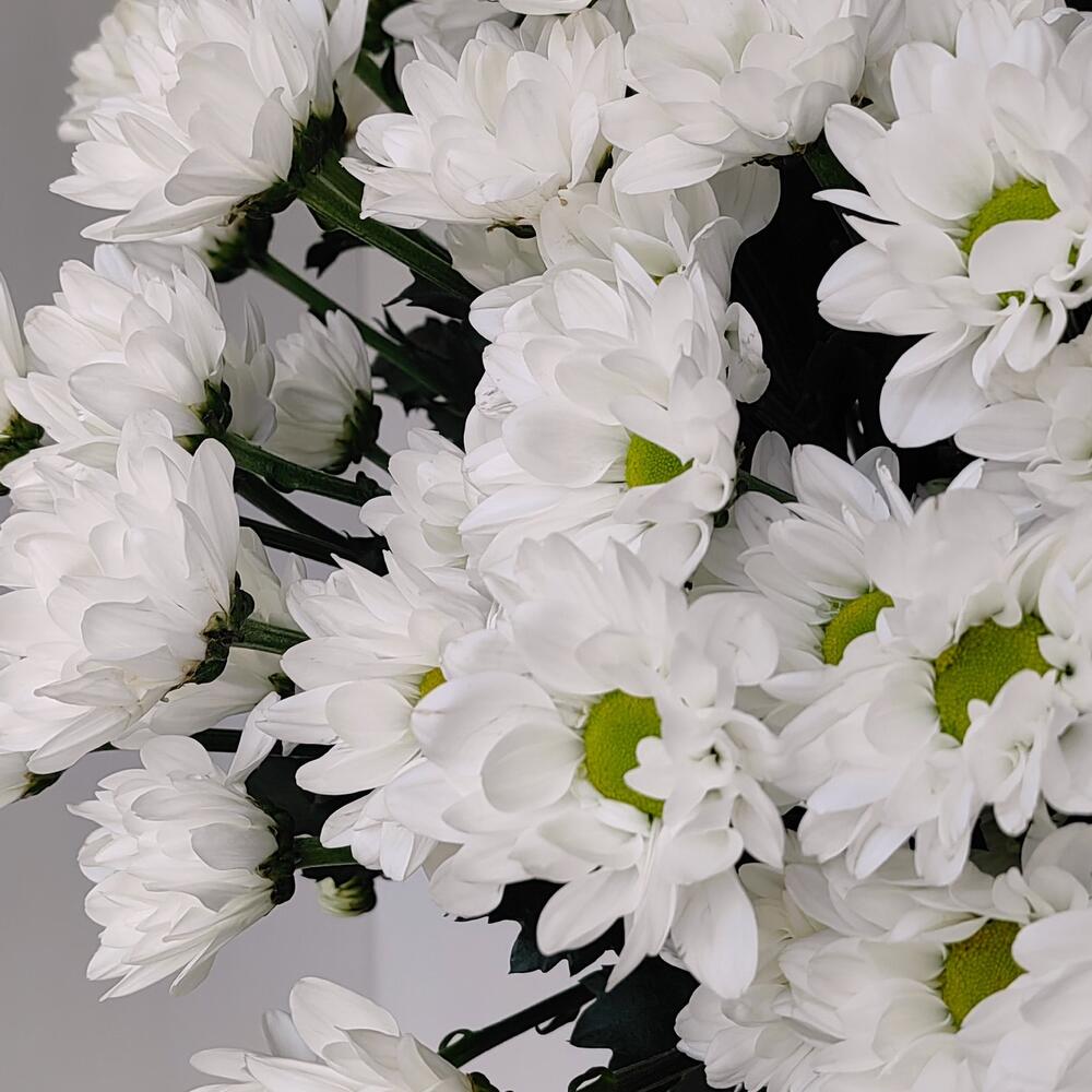 Букет «Ромашка» — свежесть белых хризантем в деревенском стиле Нефтегорск Челябинская область