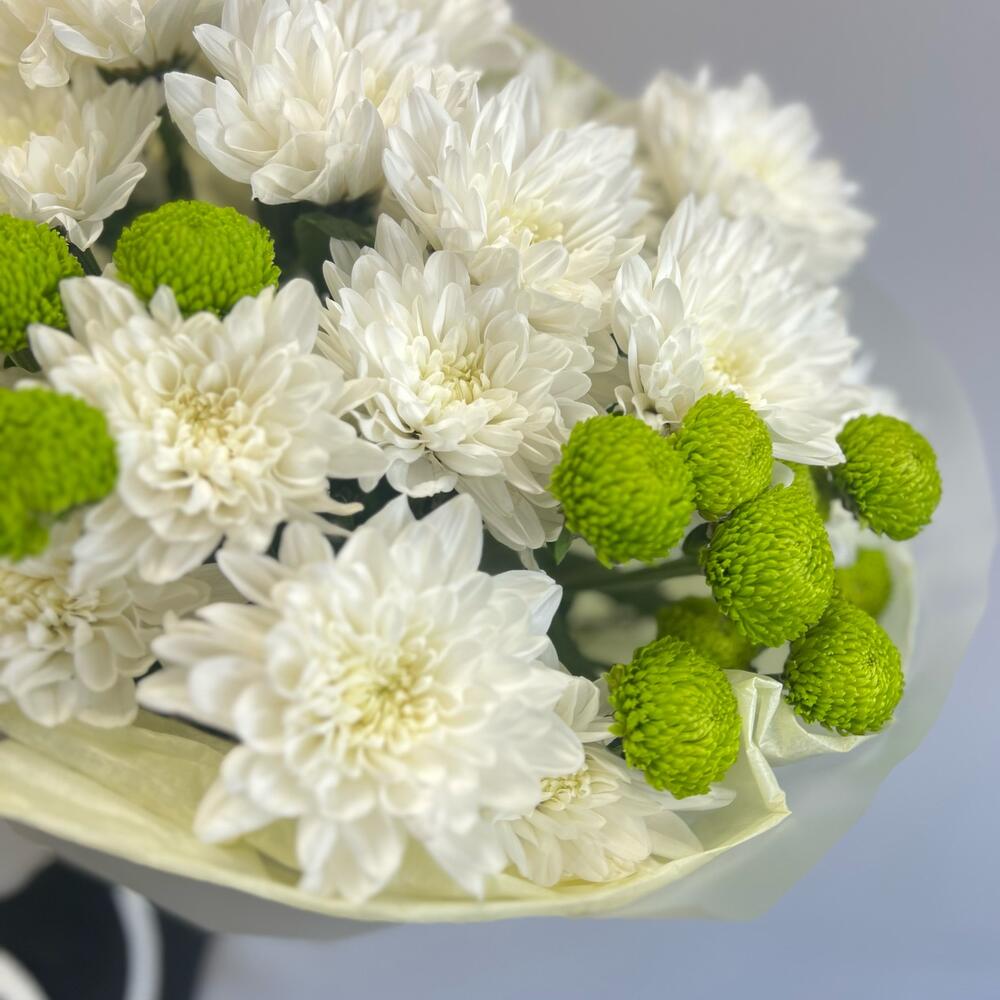 Эксклюзивный букет «Филин Грин» – сочетание белых и зеленых хризантем Нефтегорск Челябинская область