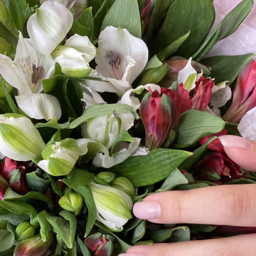 Букет «Люблю»– страсть и чистота в красно-белых альстромериях Нефтегорск Челябинская область