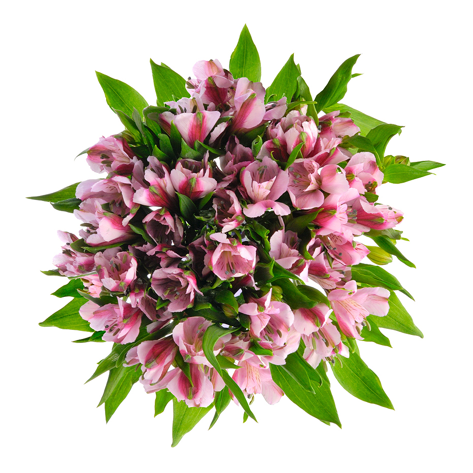 Букет «Хорошее настроение» из розовых альстромерий – солнечный подарок Нефтегорск Челябинская область