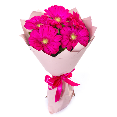 Букет из 5 малиновых гербер – сочный акцент вашего подарка Нефтегорск Челябинская область