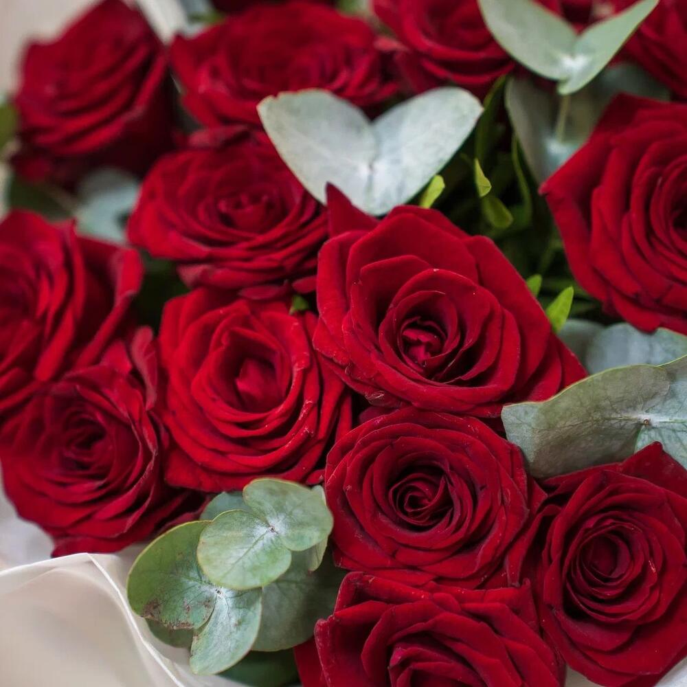 Элегантный букет из 15 красных роз с эвкалиптом – символ страсти и нежности Нефтегорск Челябинская область