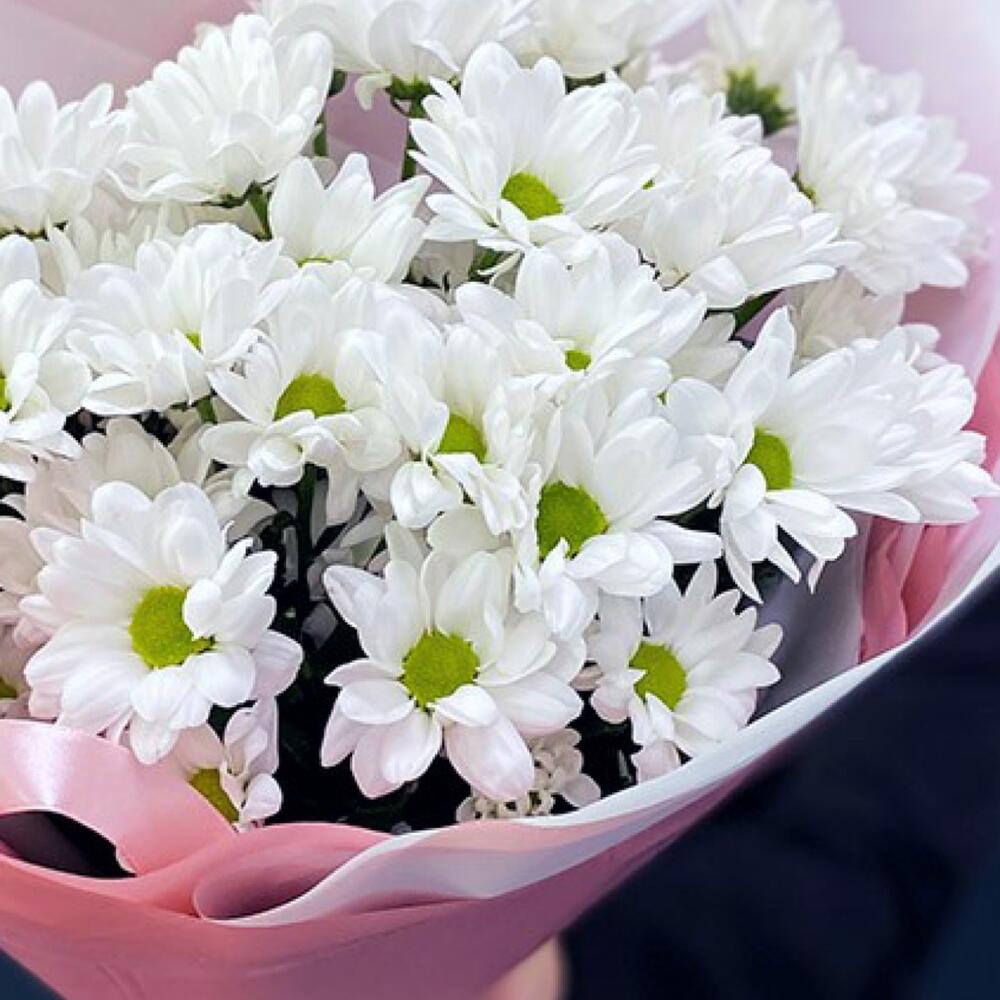 Букет «Розовое счастье» – нежность белых хризантем Нефтегорск Челябинская область
