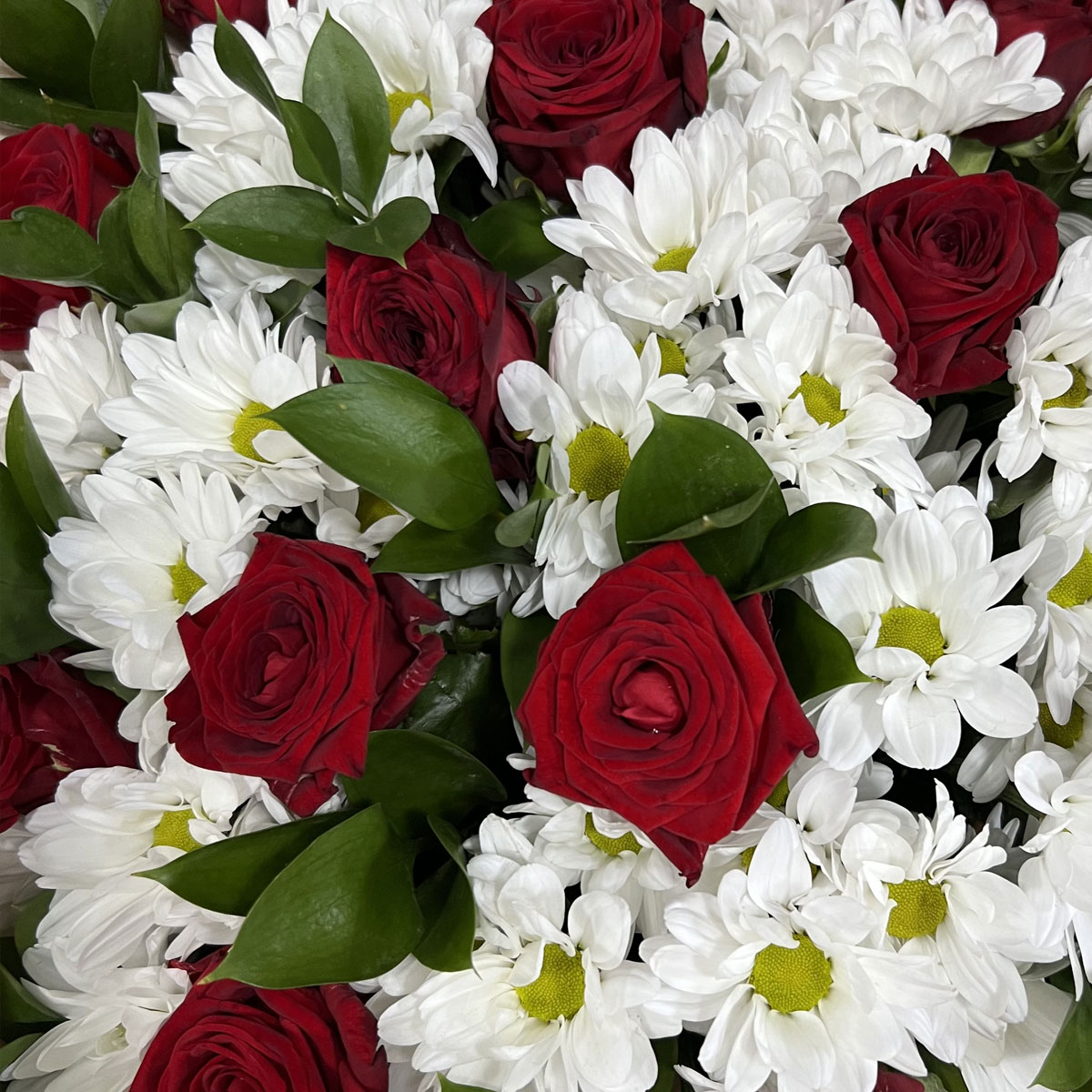 Букет «Романтика» — гармония красных роз и белоснежных хризантем Нефтегорск Челябинская область