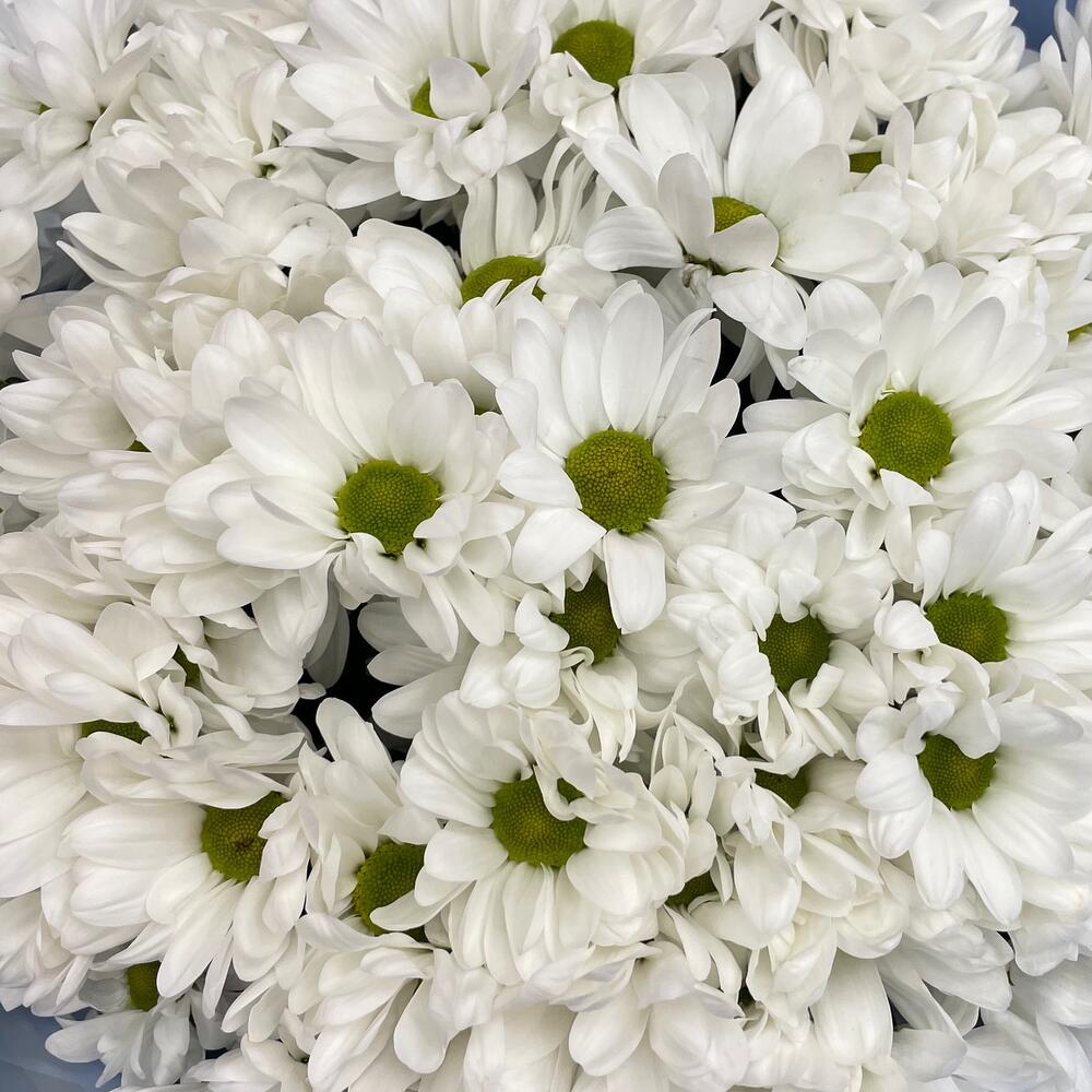 Букет «Ромашковое поле» – свежесть белых хризантем Нефтегорск Челябинская область